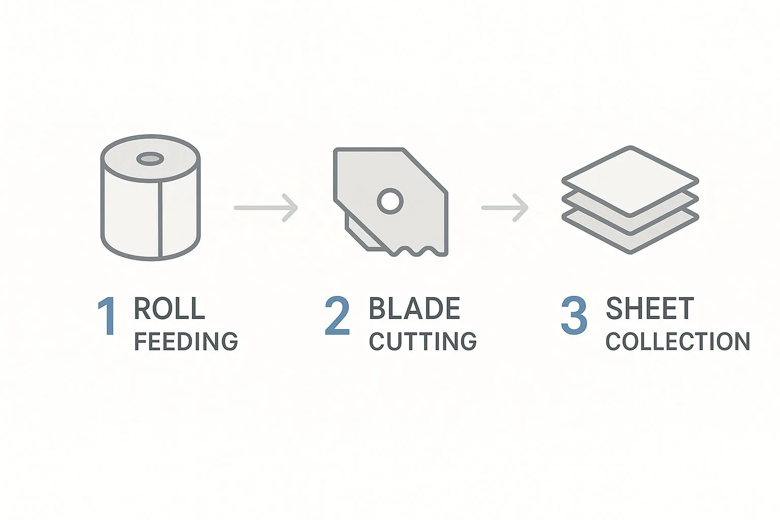 Roll-to-Sheet Cutting Process